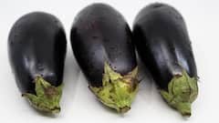 Brinjal: বেগুন স্বাস্থ্যের জন্য উপকারী নাকি ক্ষতিকর?