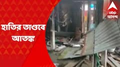 Jalpaiguri : জলপাইগুড়ির ধূপগুড়িতে হাতির তাণ্ডবে আতঙ্ক