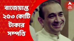 Nirav Modi: নীরব মোদির ২৫৩ কোটি বাজেয়াপ্ত এনফোর্সমেন্ট ডিরেক্টরেটের। Bangla News