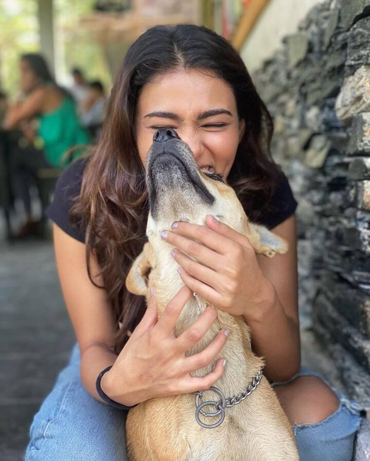 'అర్జున్ రెడ్డి' సినిమాతో టాలీవుడ్ లో హీరోయిన్ గా ఎంట్రీ ఇచ్చింది షాలిని పాండే.(Photo Courtesy : Shalini Panday Instagram)