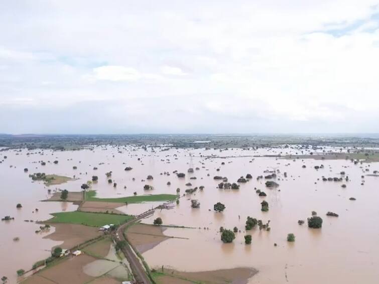 yavatmal flood Three and a half thousand citizens of Yavatmal were displaced due to flood    Yavatmal flood : पुराने आणलं डोळ्यात पाणी, साडेतीन हजार नागरिकांचे स्थलांतर, यवतमाळमधील अनेक गावांना पुराचा वेढा 