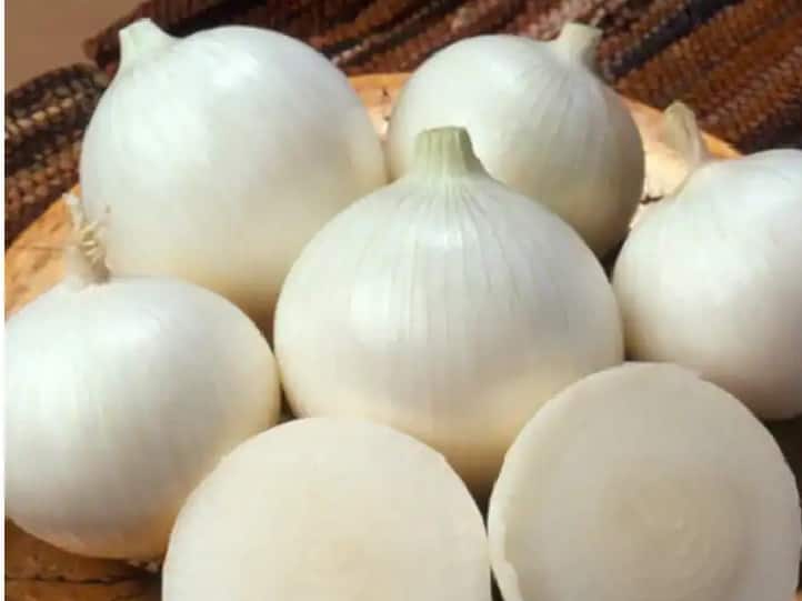 Raigad Onion News Alibaug News  Geographical classification of quality white onion Patient Onion : अलिबागच्या शेतकऱ्यांसाठी गूडन्यूज! गुणकारी पांढऱ्या कांद्याला भौगोलिक मानांकन 