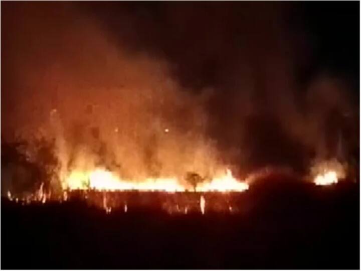 west Bengal Murshidabad district Kandi Forest Fire tenders on location West Bengal Fire: मुर्शिदाबाद के कंडी जंगल में लगी भीषण आग, दमकल की कई गाड़ियां मौके पर पहुंची