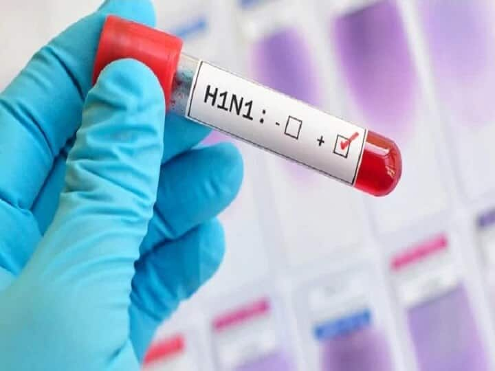 One patient died of swine flu in Ahmedabad amidst the chaos of Corona Swine Flu: કોરોનાના કહેર વચ્ચે અમદાવાદમાં નવો ખતરો, સ્વાઇન ફ્લૂથી એક દર્દીનું મોત