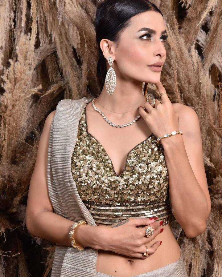 पवित्रा पुनिया ने ग्रे कलर की साड़ी पहनकर स्टनिंग फोटोशूट कराया है. साड़ी उन पर बहुत खिल रही थी.