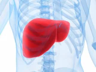 Hepatitis चे प्रकार, कारणे, लक्षणे, उपचार आणि टाळण्यासाठी टिप्स