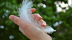 Nail Infection: বর্ষায় চিন্তা বাড়াচ্ছে নখকুনির সমস্যা? কী করবেন?