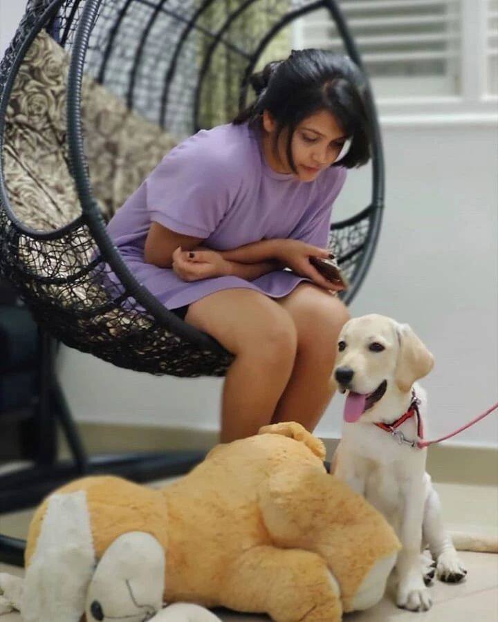 కార్తీకదీపం సీరియల్ శౌర్య (అమూల్య గౌడ) (Image Credit: Amulya Gowda/ Instagram)