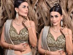 Pavitra Punia Pics: Pavitra Punia ਨੇ ਸਾੜੀ ਪਾ ਕੇ ਲਗਾਇਆ ਗਲੈਮਰ ਦਾ ਤੜਕਾ , ਅਦਾਵਾਂ  'ਤੇ ਤੁਸੀਂ ਵੀ ਹੋ ਜਾਓਗੇ ਫਿਦਾ