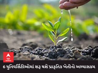 મોટા સમાચાર :  ગુજરાતની 6 યુનિવર્સિટીઓમાં શરૂ થશે પ્રાકૃતિક ખેતીનો અભ્યાસક્રમ, જાણો વિગત