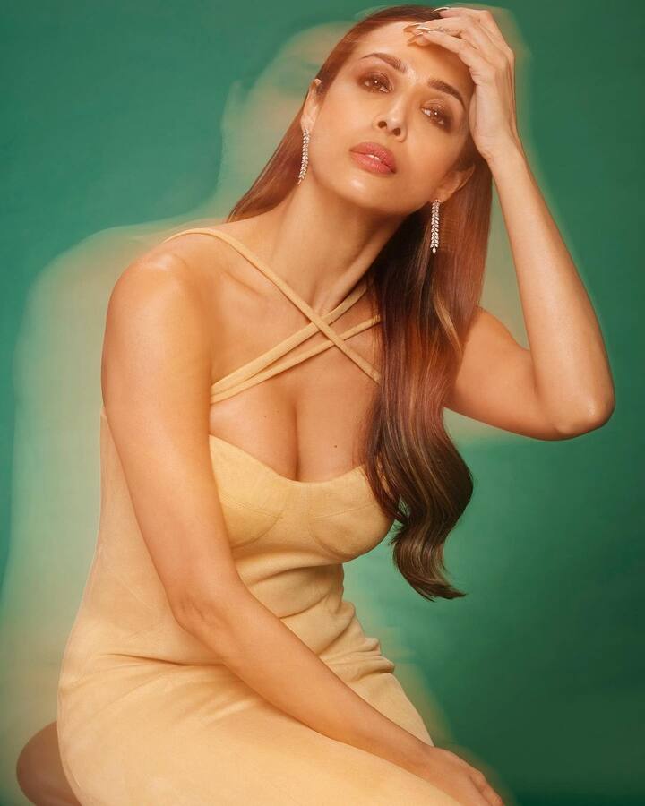 ચાહકો પણ મલાઈકાને આ લૂકને પસંદ કરી રહ્યા છે. એક્ટ્રેસ ફિટ રહેવા જિમ અને યોગા કરે છે.  મલાઈકા બોલીવૂડની હોટ એક્ટ્રેસ છે