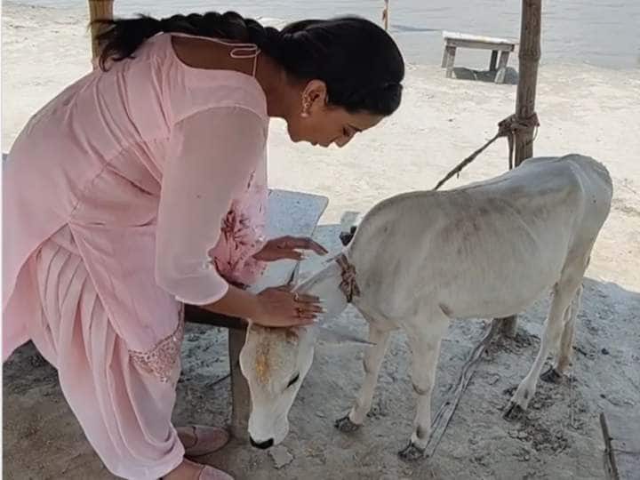 Bhojpuri News: समुंद्र किनारे गाय को पुचकारती नजर आईं Akshara Singh, बेहद क्यूट है ये वीडियो