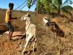 Viral Video: ਗਧੇ ਨੂੰ ਕਪੜੇ ਵਾਂਗ ਧੋ-ਧੋ ਕੇ ਕੁੱਟ ਰਿਹਾ ਸੀ ਮੁੰਡਾ, ਜਾਨਵਰ ਨੇ ਵਜਾ ਦਿੱਤੀ ਬੈਂਡ!