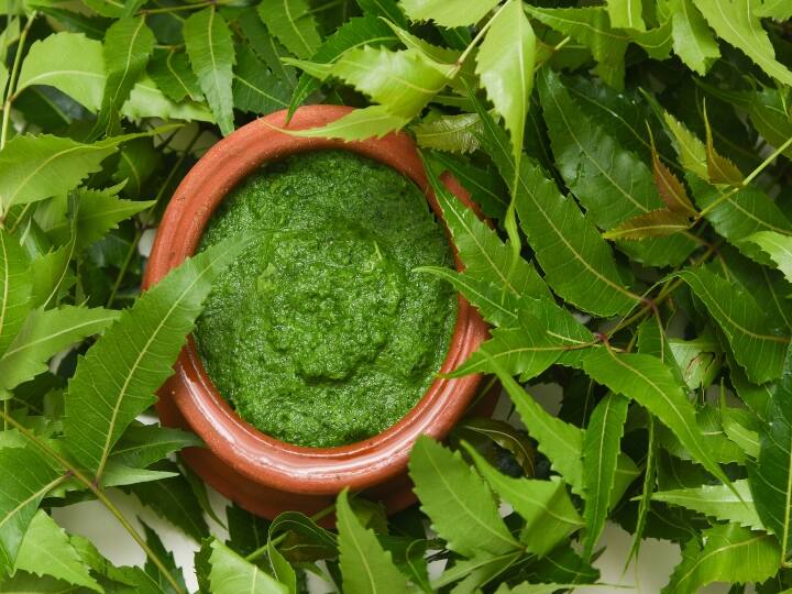 Neem benefits on daily routine Tips suggested by ayurveda expert Neem : வேப்பம்பூ, வேப்பிலை.. இப்படி பயன்படுத்தினா போதும்.. ஆயுர்வேத நிபுணர் தரும் பெஸ்ட் டிப்..