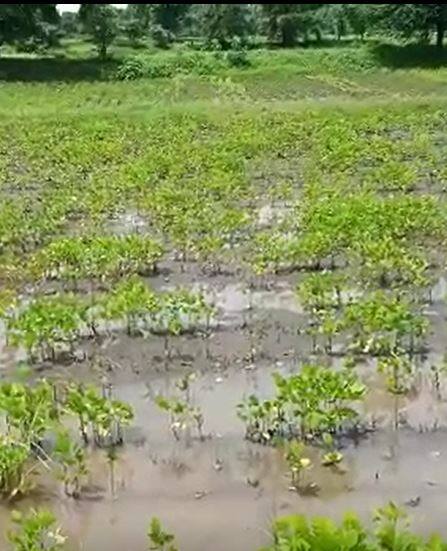 नांदेड जिल्ह्यात जोरदार पाऊस