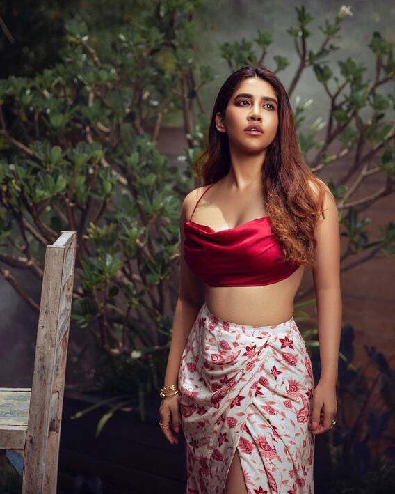 Nabha Natesh Photos: నభా ఎంత స్మార్ట్ గా ఉందో!