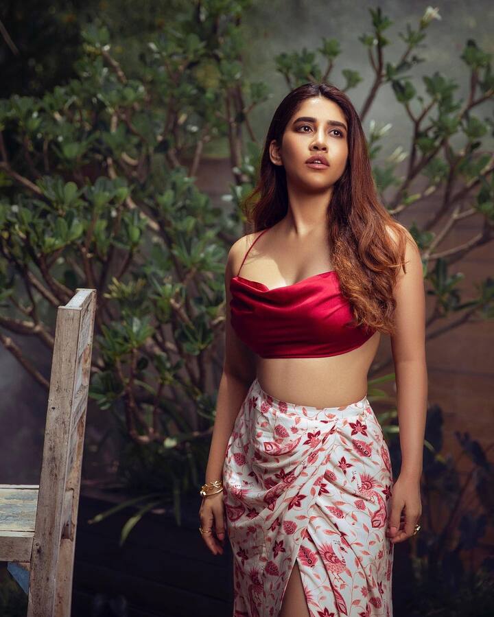 ఇస్మార్ట్ శంకర్ తర్వాత నభా నటించిన 'సోలో బ్రతుకే సో బెటర్', 'అల్లుడు అదుర్స్' లో నటించింది. 'అంధాధూన్' సినిమాకు రీమేక్ గా వచ్చిన 'మ్యాస్ట్రో' మూవీలో నితిన్ సరసన స్టైలిష్ అండ్ కూల్ పెర్ఫామెన్స్ తో మెప్పించింది. 'ఇస్మార్ట్ శంకర్' తర్వాత ఆ రేంజ్ హిట్ అమ్మడి అకౌంట్లో పడలేదు.