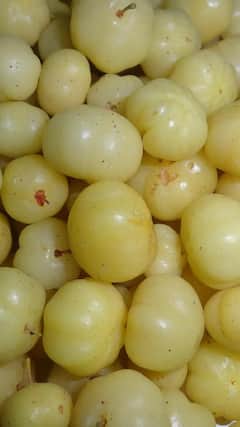 Amla Benefits : रोगप्रतिकारशक्ती वाढवायचीय? आवळ्याचे सेवन करा