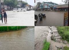 In Pics: कोटा संभाग में हुई झमाझम बारिश से कई इलाके हुए जलमग्न, कई गांवों का संपर्क टूटा