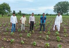 Photo: पूर परिस्थितीमुळे नांदेडमध्ये सुमारे 5 लाख 33 हजार 384 शेतकऱ्यांचे नुकसान