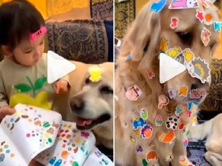 Viral Video: Adorable Dogs Let Baby Cover Them in Stickers, Netizens Can’t Stop Laughing. Watch Viral Video : ஸ்டிக்கர் நல்லது... அட இந்த வைரல் வீடியோவைப் பாருங்க புரியும்!