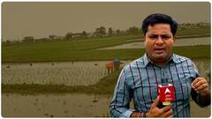 Huge Crop Loss In Nizamabad : వరుస భారీ వర్షాల దెబ్బకు కుదేలవుతున్న నిజామాబాద్ రైతులు | ABP Desam