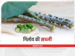 Giloy ki Sabzi: अब बनाइए गिलोय की टेस्टी सब्जी, बहुत आसान है बनाने की रेसिपी
