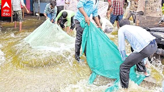 Fishing In Hyderabad Streets: భారీ వర్షాల ధాటికి భాగ్యనగర వీధుల్లోకి చేపలు, పట్టుకుంటున్న ప్రజలు