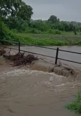 वर्धा जिल्ह्यात मुसळधार पाऊस