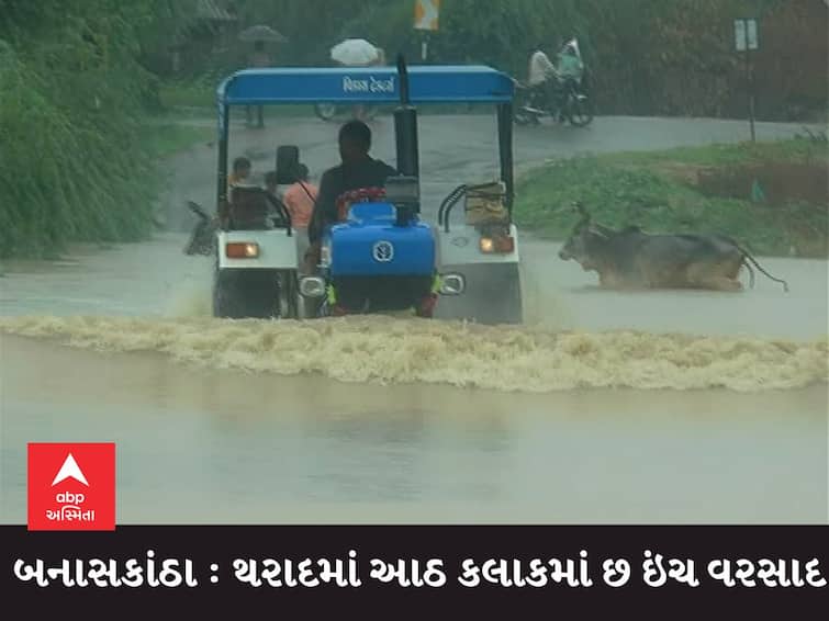 Gujarat Rains Banaskantha's Tharad received six inches of rain in eight hours BANASKANTHA :  થરાદમાં આઠ કલાકમાં છ ઇંચ વરસાદ વરસતા ઠેર ઠેર પાણી ભરાયા