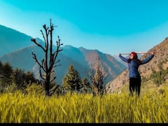 Amala Paul : பூக்களே சற்று ஓய்வெடுங்கள் அவள் வந்துவிட்டாள்..மலா பாலின் ரிசெண்ட் க்ளிக்ஸ்!