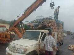 Thane : मुंबई - नाशिक महामार्गावर टेम्पोचा अपघात, 400 कोंबड्यांचा जागीच मृत्यू