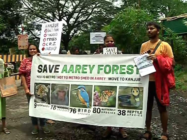 Aarey Protest by environmental lovers against metro carshed across country Aarey vachwa andolan marathi news देशभरात 'आरे वाचवा'चा एल्गार; आरेतील मेट्रो कारशेडला वाढता विरोध, पर्यावरणवाद्यांची निदर्शनं
