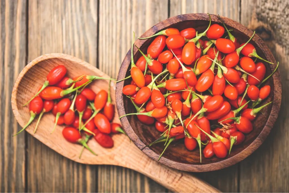 Goji Berry Benefits: கோஜி பெர்ரி பழத்தின் நன்மைகள் என்ன தெரியுமா?