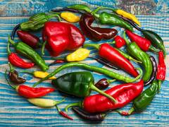 Green Chili Farming: गजब का मुनाफा देंगी हरी मिर्च की ये 7 किस्में, बारिश के मौसम में जरूर करें खेती