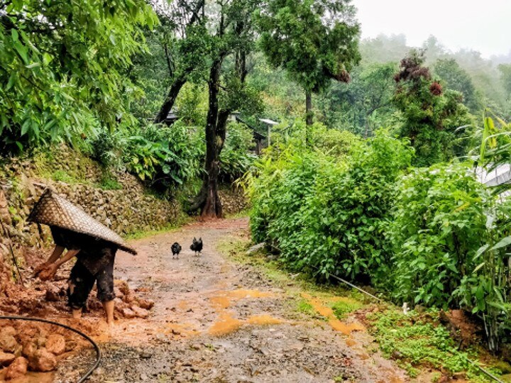 Best Tourism Village: டூர் போறீங்களா மேகாலயாவுக்கு? இந்த விசித்திரமான விசில் கிராமத்தைப் பத்தி தெரியுமா?