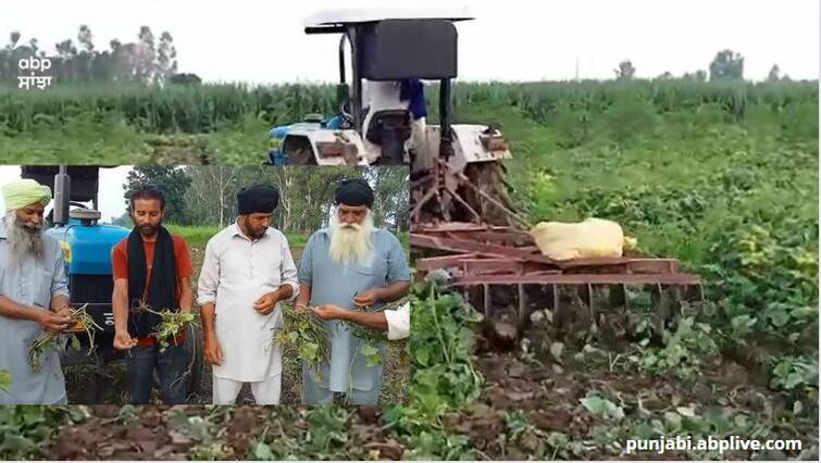 most useful government apps for farmers, know about krishi gyan mobile app App: ખેડૂતો માટે આ છે બેસ્ટ સરકારી એપ, ખેતીને લગતી સમસ્યાઓનો અહીં મળશે સચોટ ઉપાય, કરો ઇન્સ્ટૉલ...