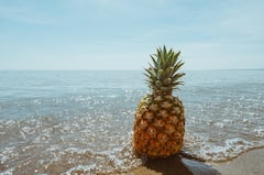 Pineapple: মধুমেহ রোগীদের জন্য আনারস উপকারী নাকি ক্ষতিকর?