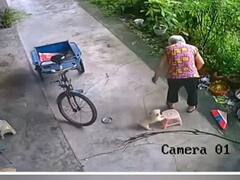 Viral Video: ਬਜੁਰਗ ਮਾਲਕਣ ਨੂੰ ਥੱਕਿਆ ਦੇਖ ਕੁੱਤੇ ਨੇ ਫਟਾਫਟ ਸਟੂਲ ਖਿੱਚ ਕੇ ਬੈਠਆਇਆ, ਲੱਖਾਂ ਦਿਲਾਂ ਨੂੰ ਛੂਹ ਗਈ ਵੀਡੀਓ