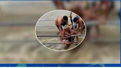 Monsoon 2022 : The heart of India is drowning due to heavy rainfall ! | Madhya Pradesh