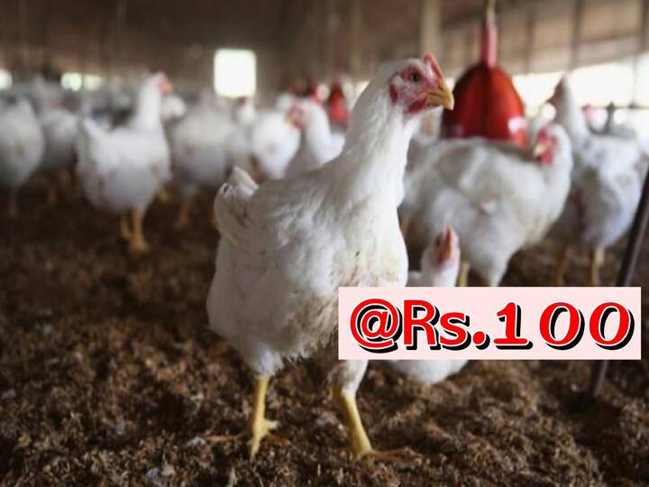 Karimnagar sharp drop in chicken prices kilo rate Rs 100 in many areas dnn Chicken Rates : భారీగా తగ్గిన చికెన్ ధరలు, కరీంనగర్ లో రూ.100కే కిలో చికెన్