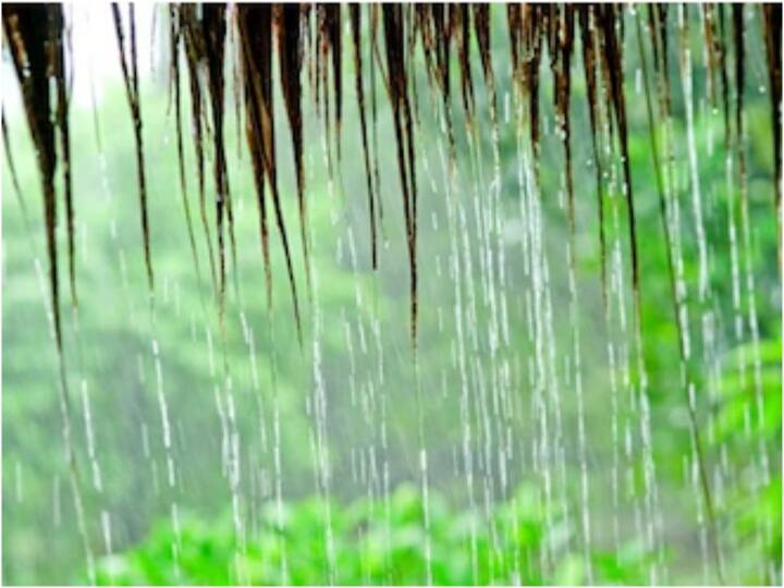 Dhule Rain Update Highest rainfall in Sakri taluka extensive damage to crops  Dhule : साक्री तालुक्यात सर्वाधिक पावसाची हजेरी, पिकांचे मोठ्या प्रमाणावर नुकसान; अद्याप पंचनामे अपूर्ण