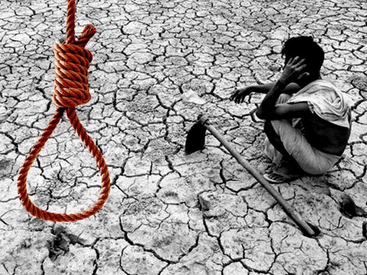 maharashtra News Marathwada News 515 farmers suicide in last seven months in Marathwada Marathwada: मराठवाड्यात गेल्या सात महिन्यात 515 शेतकऱ्यांनी जीवन संपवलं; सर्वाधिक बीड जिल्ह्यातील शेतकरी