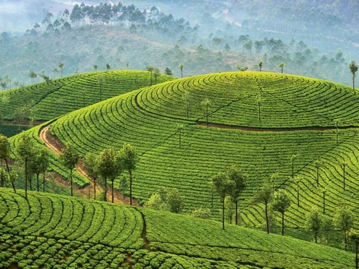 Kerala Monsoon : மழைநாட்களில் ரம்மியமா ஒரு அனுபவம் வேணுமா? கேரளாவில் இதெல்லாம் பெஸ்ட் இடங்கள்..