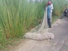 Pratapgarh News: प्रतापगढ़ में तेंदुआ दिखने से इलाके में हड़कंप, मजबूरी में रातभर जाग रहे लोग, वन विभाग ने की ये अपील