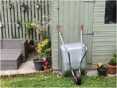 Optical Illusion Image: बैकयार्ड की इस तस्वीर में छिपी है बिल्ली, ढूंढने में छूटे धुरंधरों के पसीने!