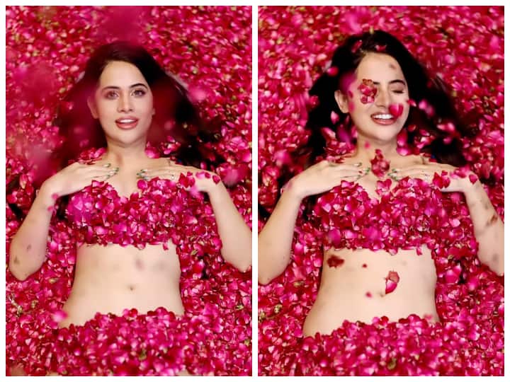 Uorfi Javed Covers Herself With Rose Petals, Netizens Asked If She Is Inspired By Ranveer Singh Uorfi Javed Covers Herself With Rose Petals, Netizens Ask If She Is Inspired By Ranveer Singh