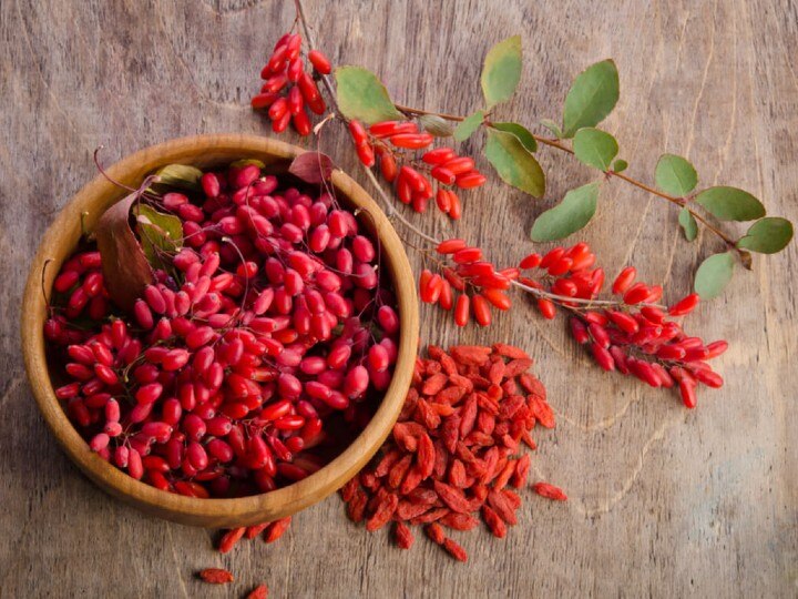 Goji Berry Benefits: கோஜி பெர்ரி பழத்தின் நன்மைகள் என்ன தெரியுமா?