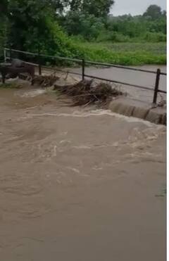 मराठवाड्यासह विदर्भात पावसाची रिपरिप