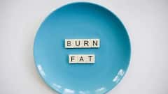 Gaps Between Meals: খাওয়ার উপর খাওয়া, অনেক ক্ষণ পেট খালি রাখা, দুইয়েই কিন্তু ঘোর সমস্যা তৈরি হতে পারে